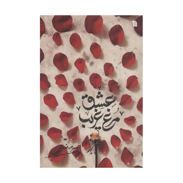 مرغ غریب عشق