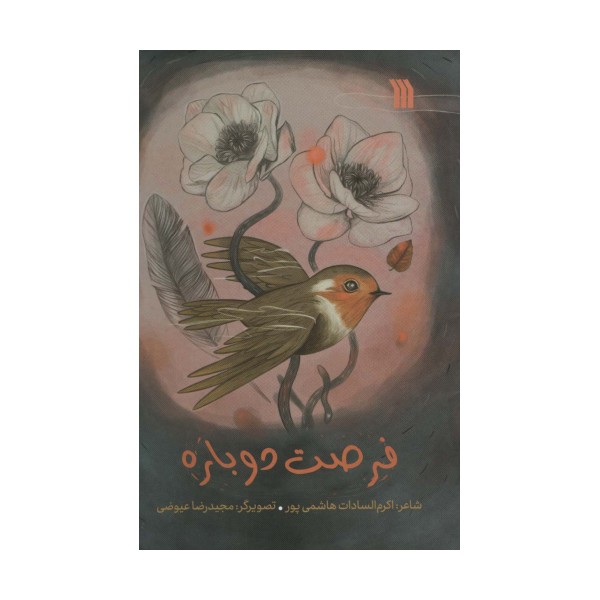 فرصت دوباره