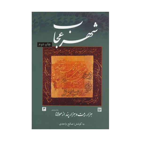 شهر عجاب (هزار بیت و هزار پند از مولانا)
