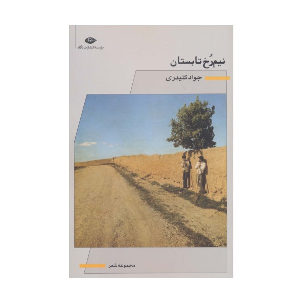 نیم رخ تابستان (مجموعه شعر)