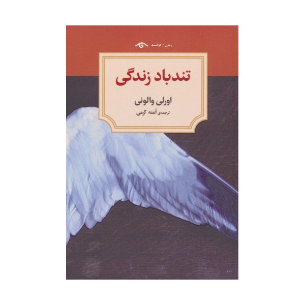 تندباد زندگی