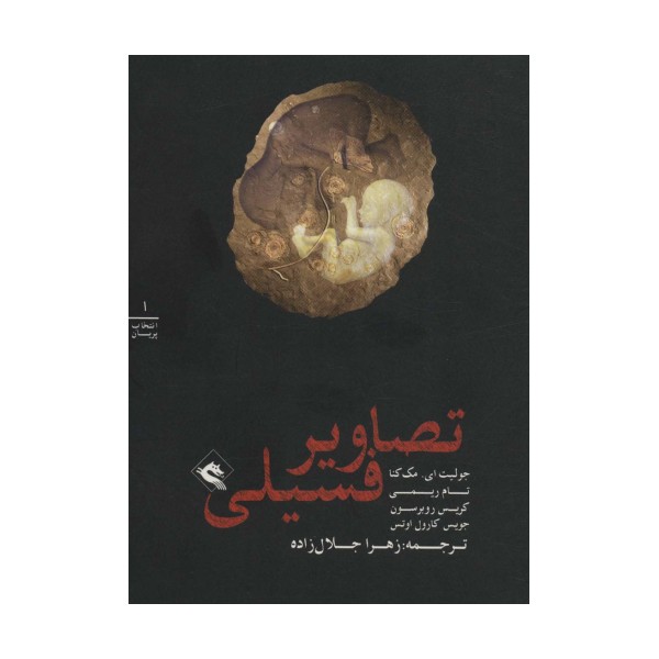 تصاویر فسیلی (انتخاب پریان 1)