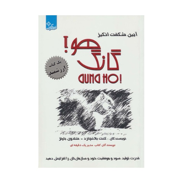آیین شگفت انگیز گانگ هو!