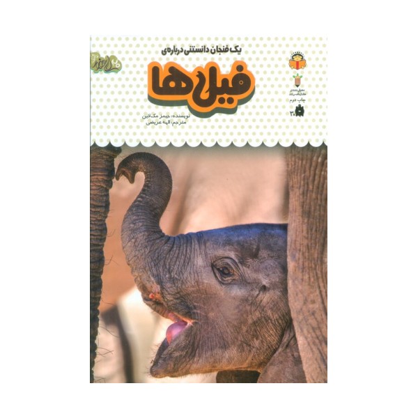 یک فنجان دانستنی درباره ی فیل ها (دانش نامه ی کودکان 6)،(گلاسه)