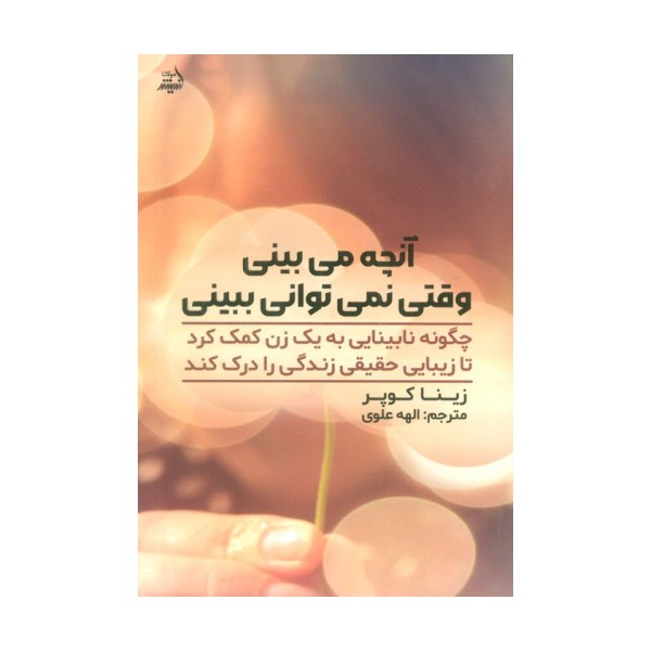آنچه می بینی وقتی نمی توانی ببینی