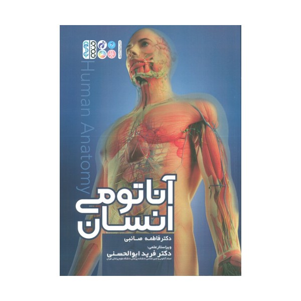 آناتومی انسان