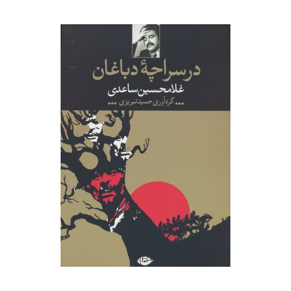 در سراچه دباغان