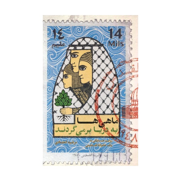 ماهی ها به دریا بر می گردند