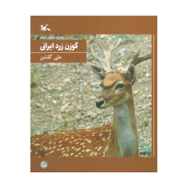 گوزن زرد ایرانی (حیات وحش ایران)
