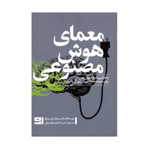 معمای هوش مصنوعی (به کارگیری قدرت هوش مصنوعی برای سازمان شما به صورت سودآور و ایمن)