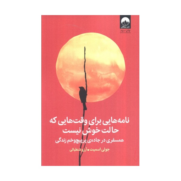 نامه هایی برای وقت هایی که حالت خوش نیست (همسفری در جاده ی پرپیچ و خم زندگی)