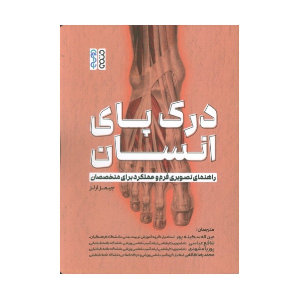 درک پای انسان (راهنمای تصویری فرم و عملکرد برای متخصصان)