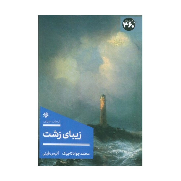 زیبای زشت