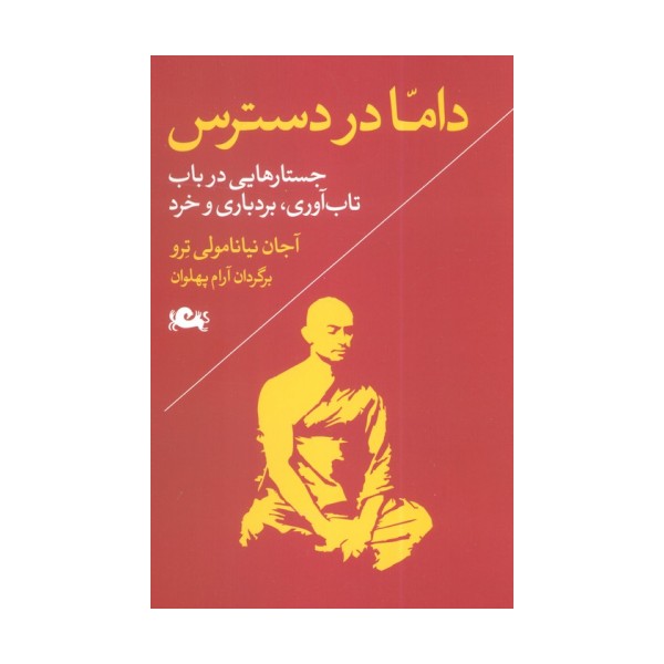 داما در دسترس (جستارهایی در باب تاب آوری،بردباری و خرد)