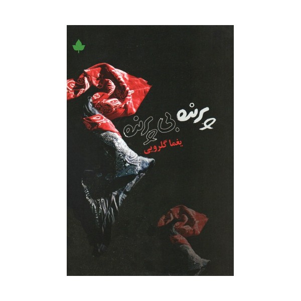 پرنده بی پرنده (همراه با سی دی)