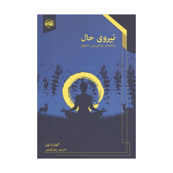 نیروی حال (راهنمای روشن بینی معنوی)