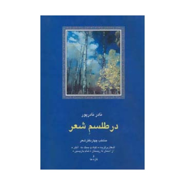 در طلسم شعر:منتخب چهار دفتر شعر (شعر معاصر ایران13)