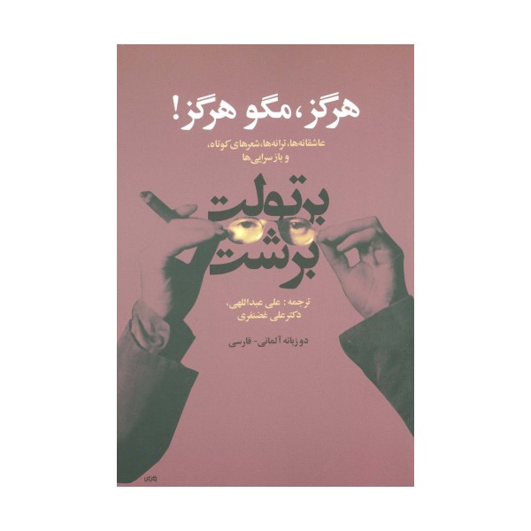 هرگز،مگو هرگز! (عاشقانه ها،ترانه ها،شعرهای کوتاه و بازسرایی ها)،(2زبانه)