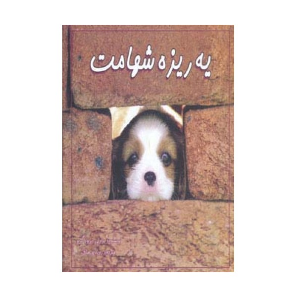 یه ریزه شهامت