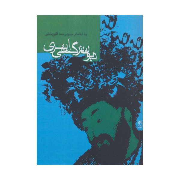 دیوان نرگسی ابهری