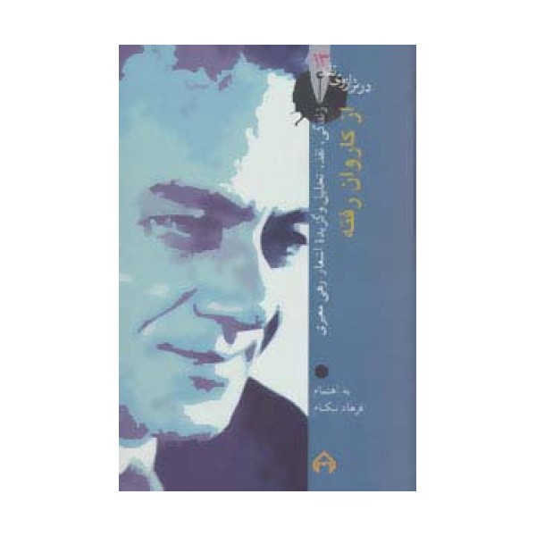 از کاروان رفته (در ترازوی نقد13)