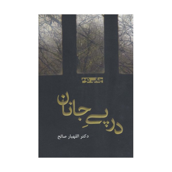 در پی جانان