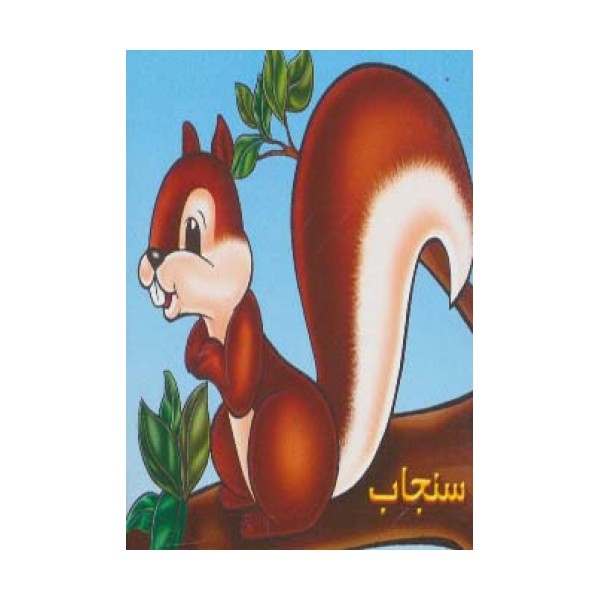 سنجاب (گلاسه)