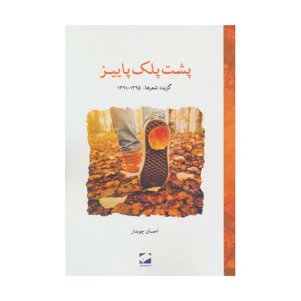 پشت پلک پاییز (گزیده شعرها،1395-1391)