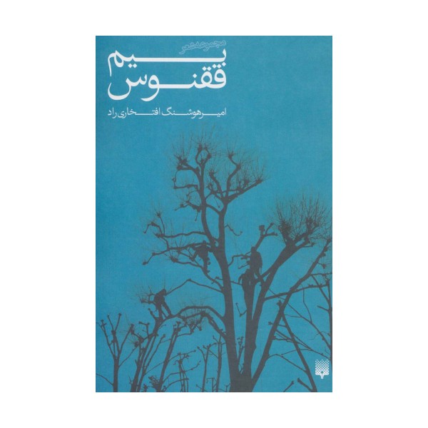 بیم ققنوس (مجموعه شعر)