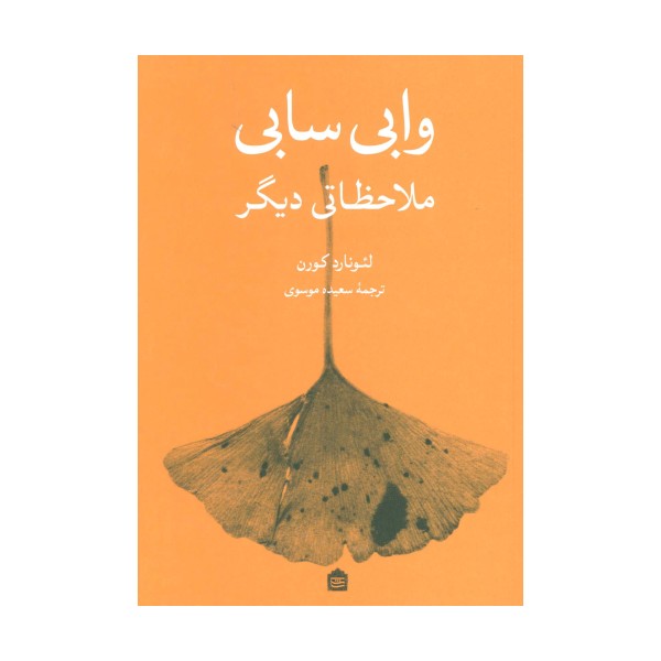 وابی سابی (ملاحظاتی دیگر)