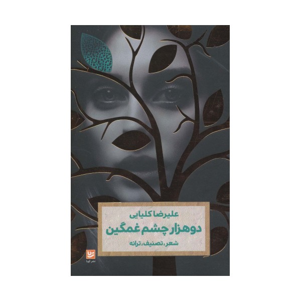 دو هزار چشم غمگین (شعر،تصنیف،ترانه)