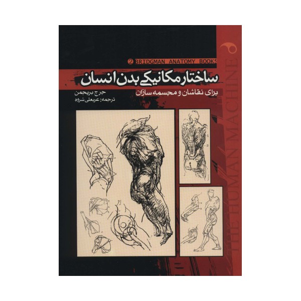 ساختار مکانیکی بدن انسان 2 (برای نقاشان و مجسمه سازان)