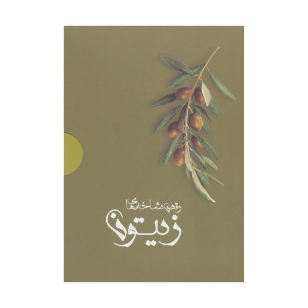 رقص شاخه های زیتون (4جلدی،باجعبه)