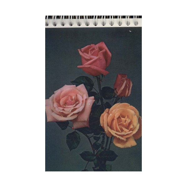 دفترچه یادداشت بی خط (همراه با کارت تبریک،چند طرح)،(سیمی)