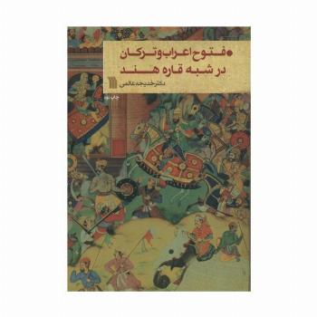 فتوح اعراب و ترکان در شبه قاره هند