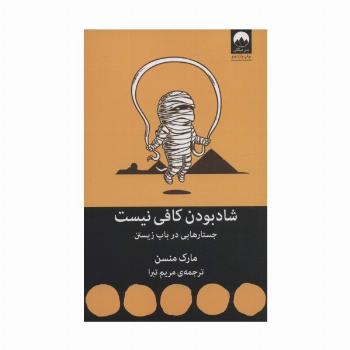 شاد بودن کافی نیست (جستارهایی در باب زیستن)