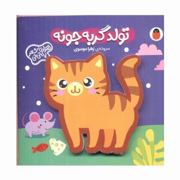 فومی تولد گربه جونه (هزارتا شعر یه نی نی)