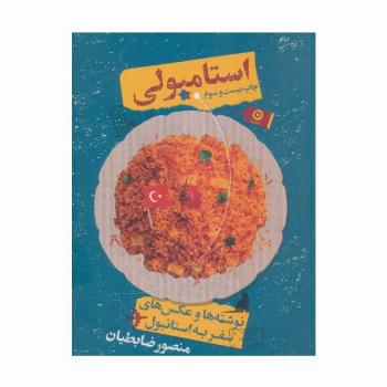 استامبولی (نوشته ها و عکس های سفر به استانبول)