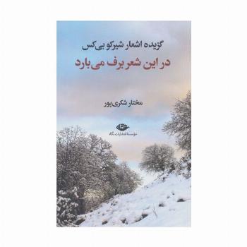 در این شعر برف می بارد (گزیده اشعار شیرکو بی کس)
