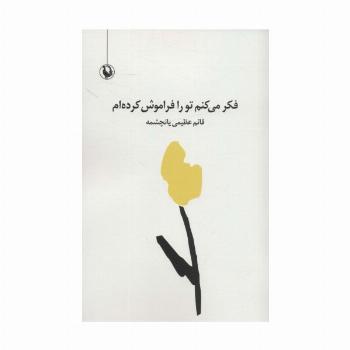فکر می کنم تو را فراموش کرده ام (مجموعه شعر سپید)