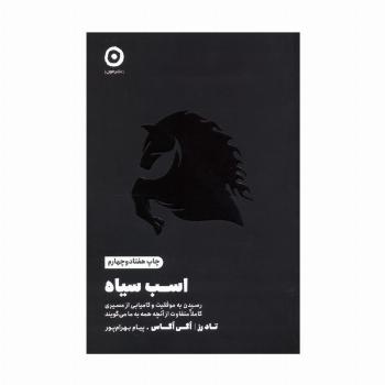 اسب سیاه (رسیدن به موفقیت و کامیابی از مسیری کاملا متفاوت از آنچه همه به ما می گویند)