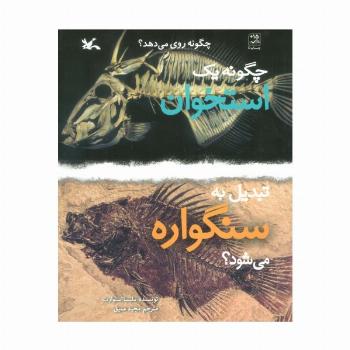 چگونه یک استخوان تبدیل به سنگواره می شود؟