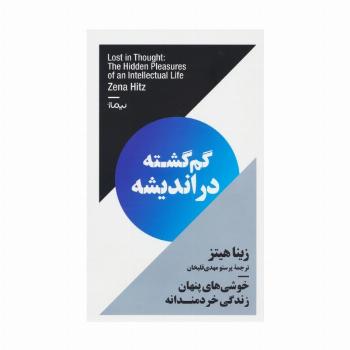 گم گشته در اندیشه (خوشی های پنهان زندگی خردمندانه)