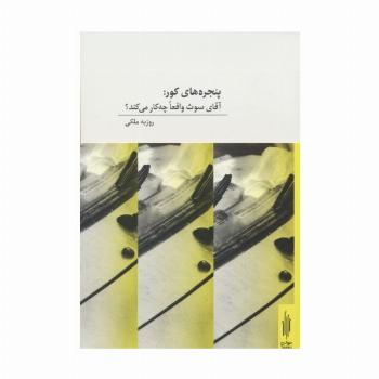 پنجره های کور:آقای سوث واقعا چه کار می کند؟ (2زبانه)