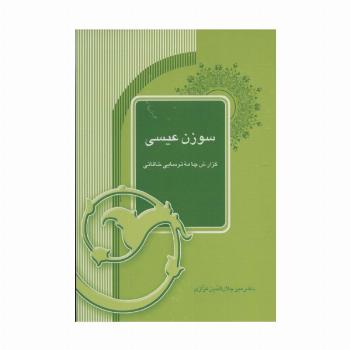 سوزن عیسی (گزارش چامه ترسایی خاقانی)