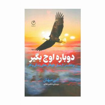 دوباره اوج بگیر (برخاستن از میان طوفان های زندگی و کار)