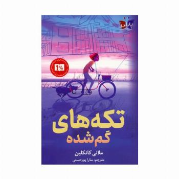 تکه های گم شده
