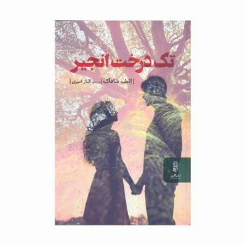 تک درخت انجیر