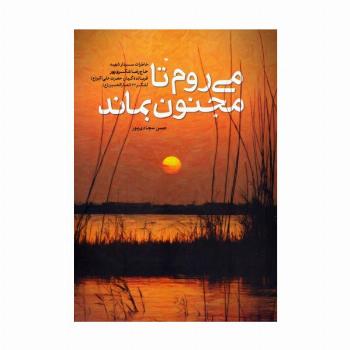 می روم تا مجنون بماند (خاطرات سردار شهید حاج رضا شکری پور)