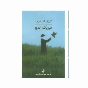فیزیک اندوه